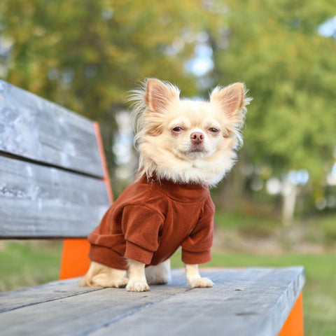 Dog Sweater - Chihuahua Sweater - Fitwarm