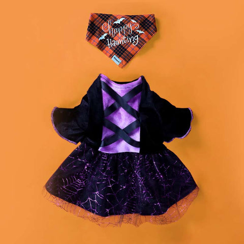 Dog Halloween Costume - Witch Costume - Dog Dress