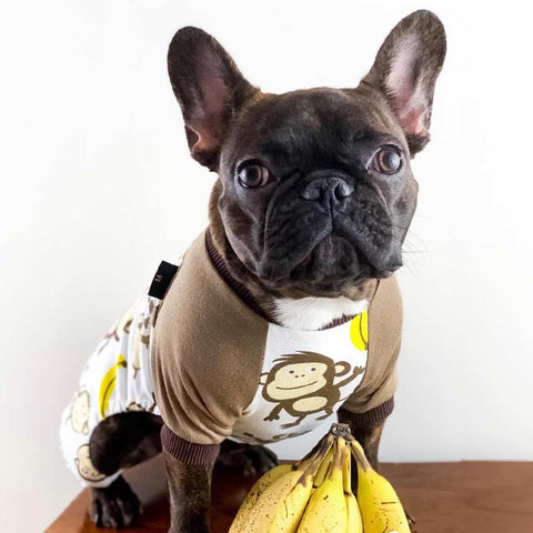 French Bulldog Clothes - Monkey Dog Pajamas - Fitwarm