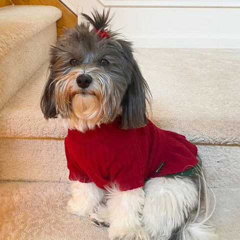 Dog Sweater - Dog Clothes - Fitwarm