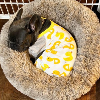 Dog Pajamas - French Bulldog Clothes - Fitwarm
