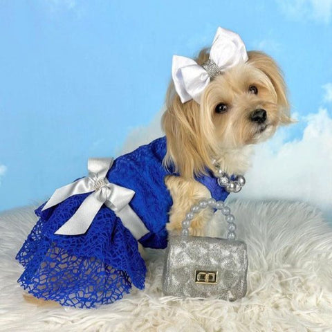 Morkie Dog Clothes - Dog Dresses - Fitwarm