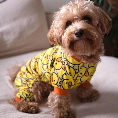 Small Dog Pajamas - Dog Clothes - Fitwarm