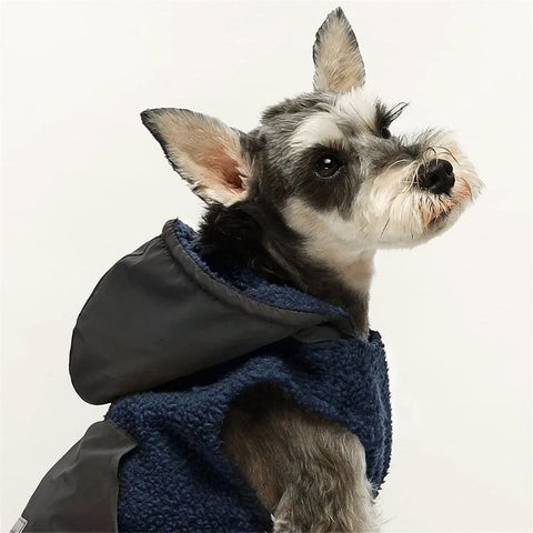 Reflective Dog Hoodie