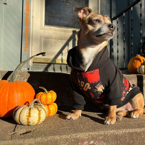 Halloween Costume Hoodies