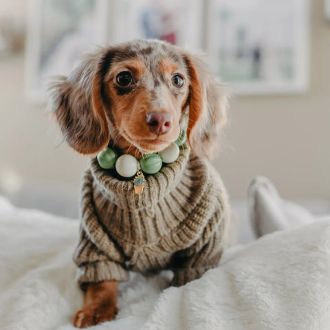 Twist Knit Sweater Pajamas