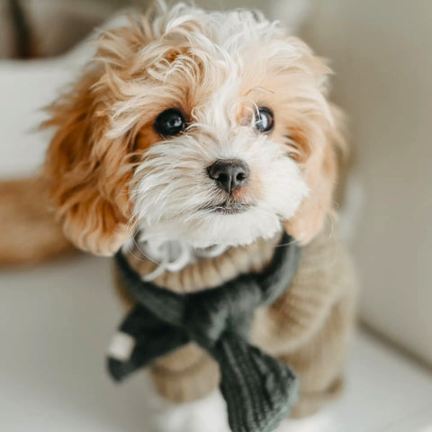 Turtleneck Knitted Sweater