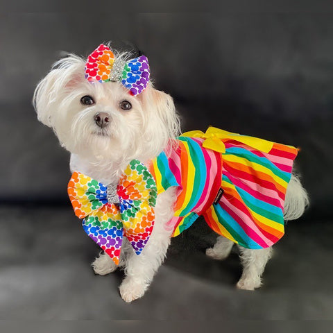 Rainbow Dresses