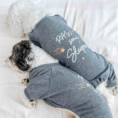 Cute dogs sleeping in cozy pajamas