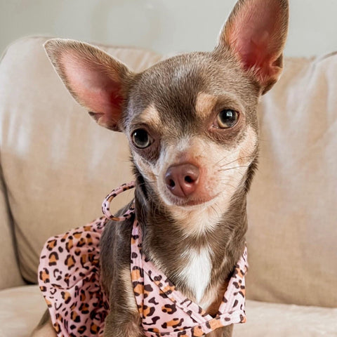 Summer Leopard Bikini Dress