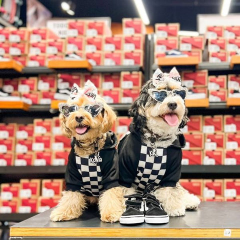 Black and White Plaid Dog Hoodies