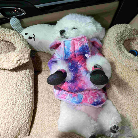 Bichon sleeping in a warm cozy dog coat