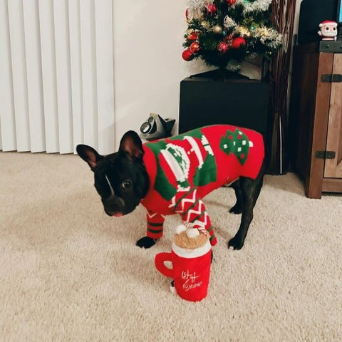 Dog Christmas Sweater - French Bulldog Clothes - Fitwarm
