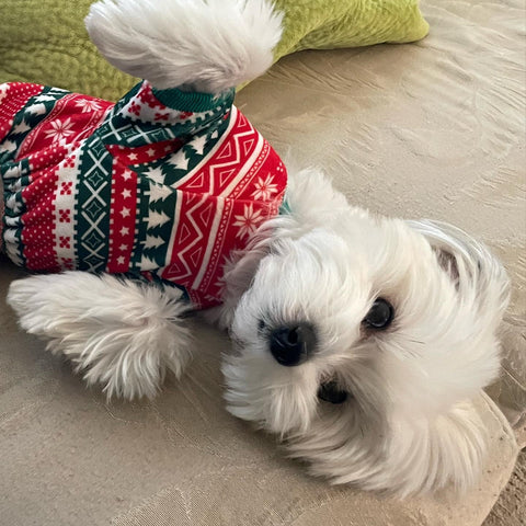 Christmas Striped Pajamas