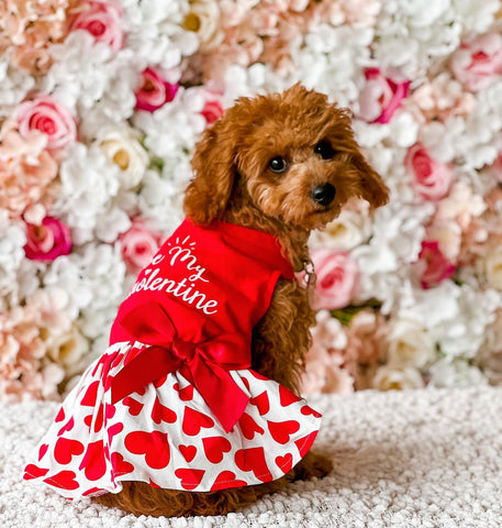 Be My Pawlentine Dress