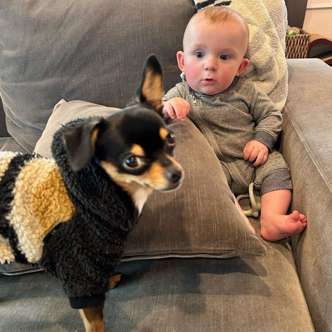Puppy bonding with the baby in a warm hoodie