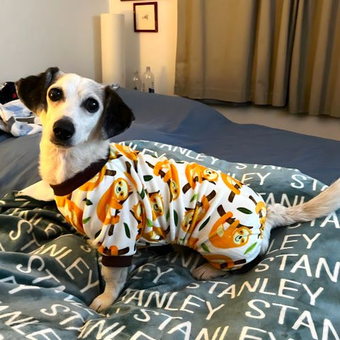 100% Cotton Sloth Dog Pajamas for Dog - Fitwarm Dog Clothes