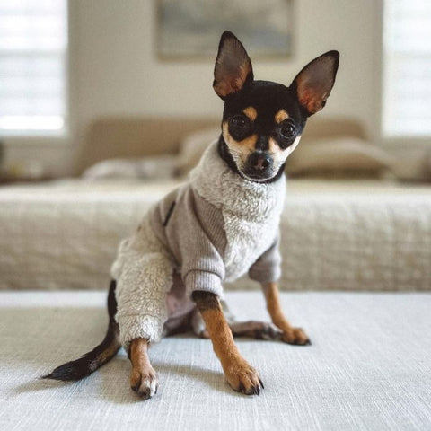 Small Dog Pajamas - Dog Clothes - Fitwarm