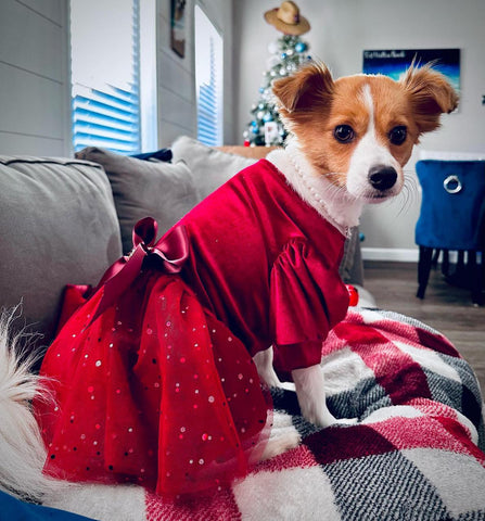 Dress Up Fancy in the dress for Holiday Gathering