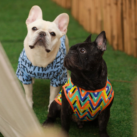 Fitwarm Creative Tee