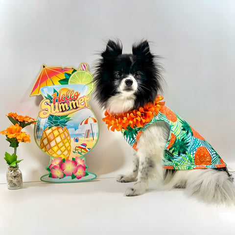 Cute dog in pineapple dress