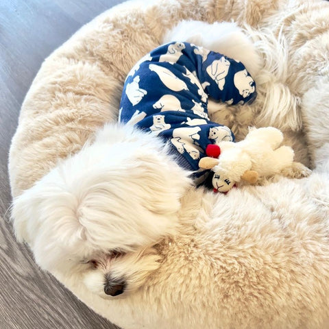 Maltese Clothing - Dog Pajamas - Fitwarm