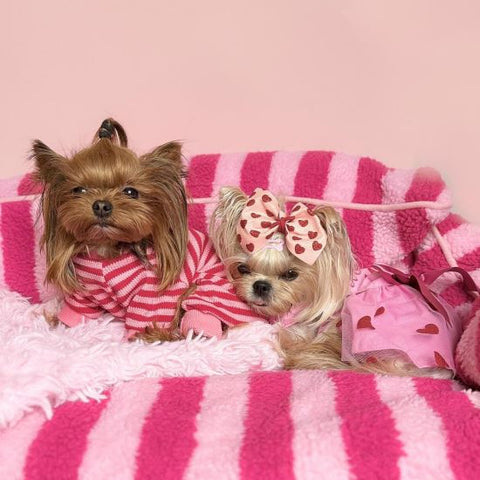 Yorkies in Dog Pajamas with Waffle Stripes - Fitwarm Dog Clothes