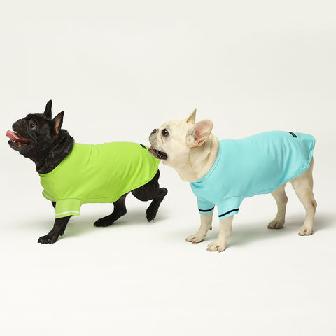 Multi-color Dog Polo Shirts