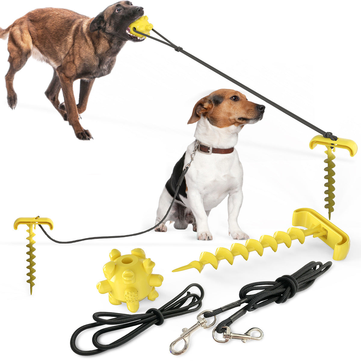 Dog Stake, Leash and Toy