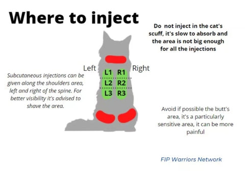 Fip Injection About FIP – awayfip