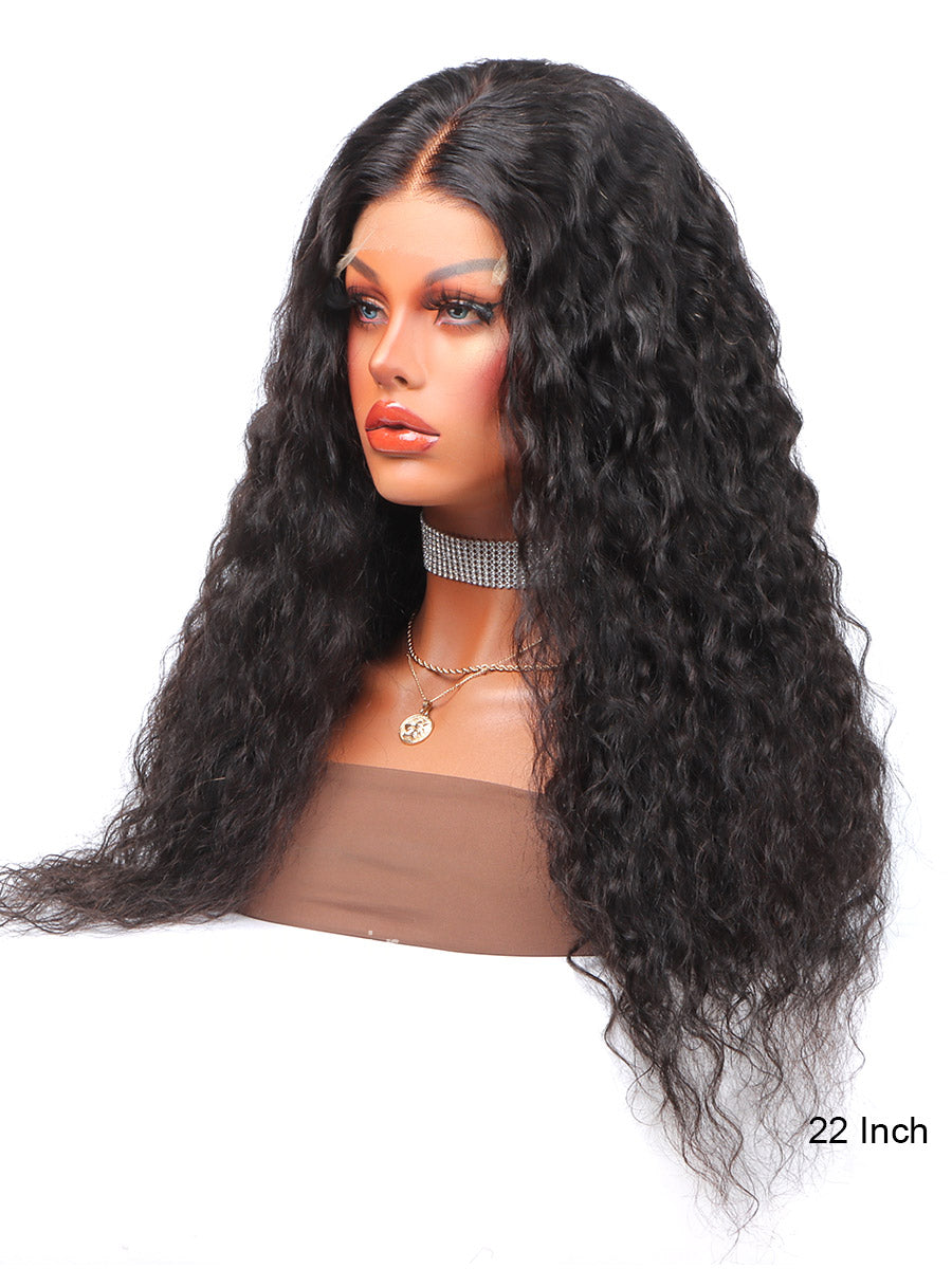 Sale No.60 5x5 Closure HD Lace Loose Wave Human Hair Wig 22 inch