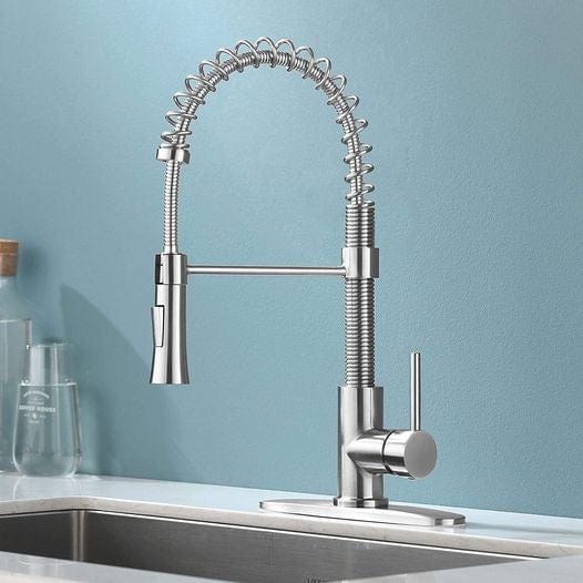 Kitchen Faucet w/ Pull Down Sprayer