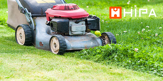 Float Bowl Gasket Replacement On A Lawn Mower Carburetor Hipa Store
