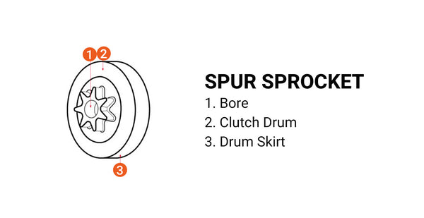 the spur sprocket