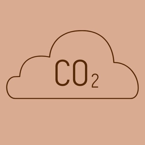 Carbon Offset for Shipping