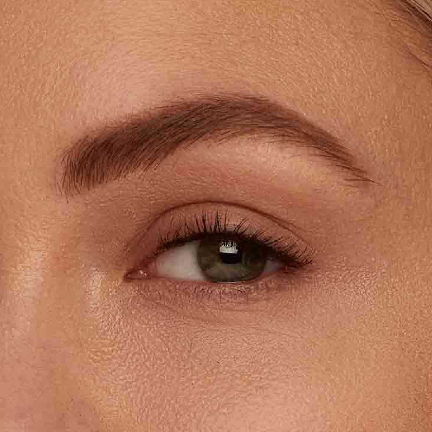 Brow Pencil + Gel- Zero Waste Makeup, Vegan