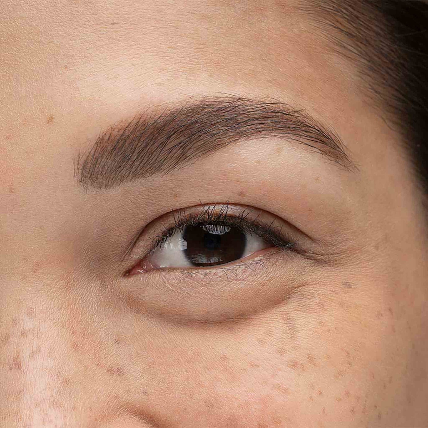 Brow Pencil + Gel- Zero Waste Makeup, Vegan