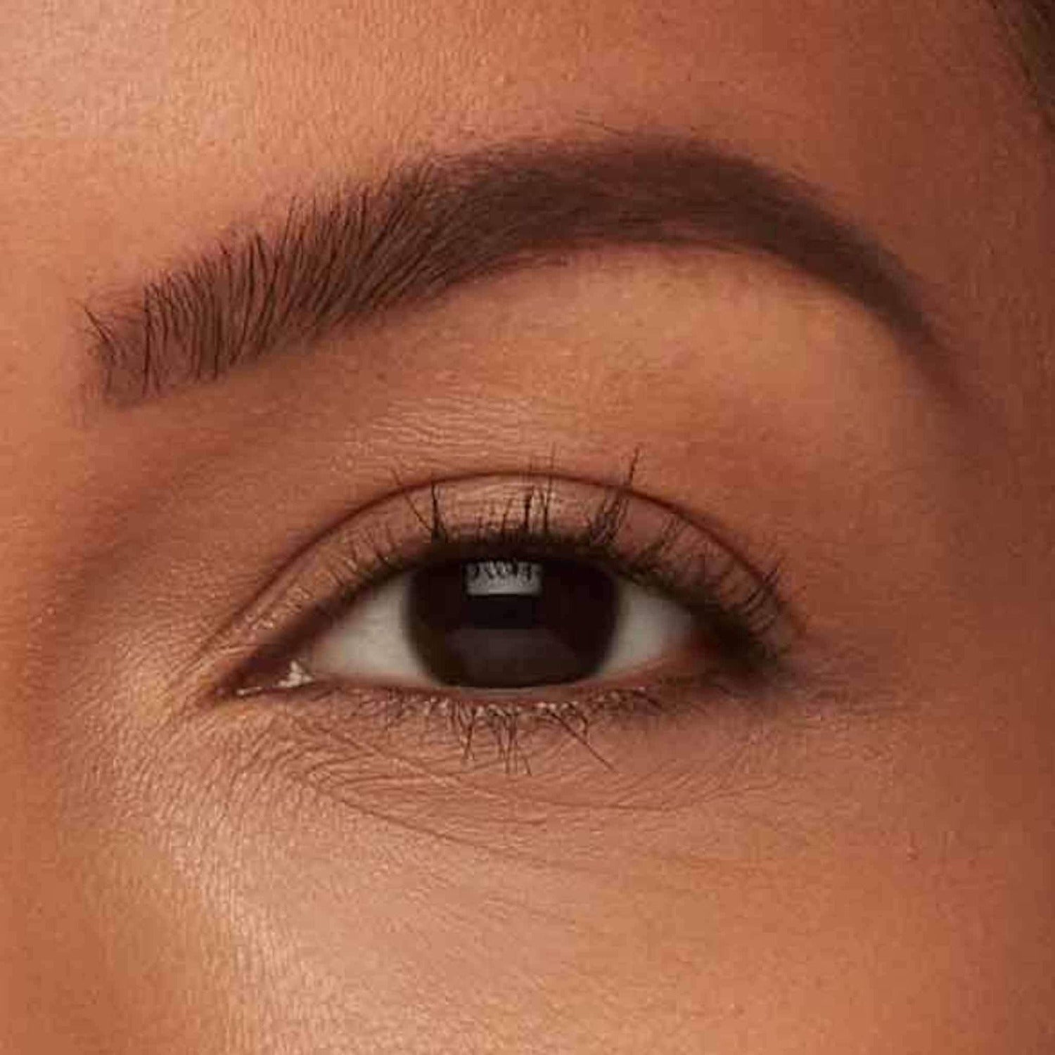 Brow Pencil + Gel- Zero Waste Makeup, Vegan