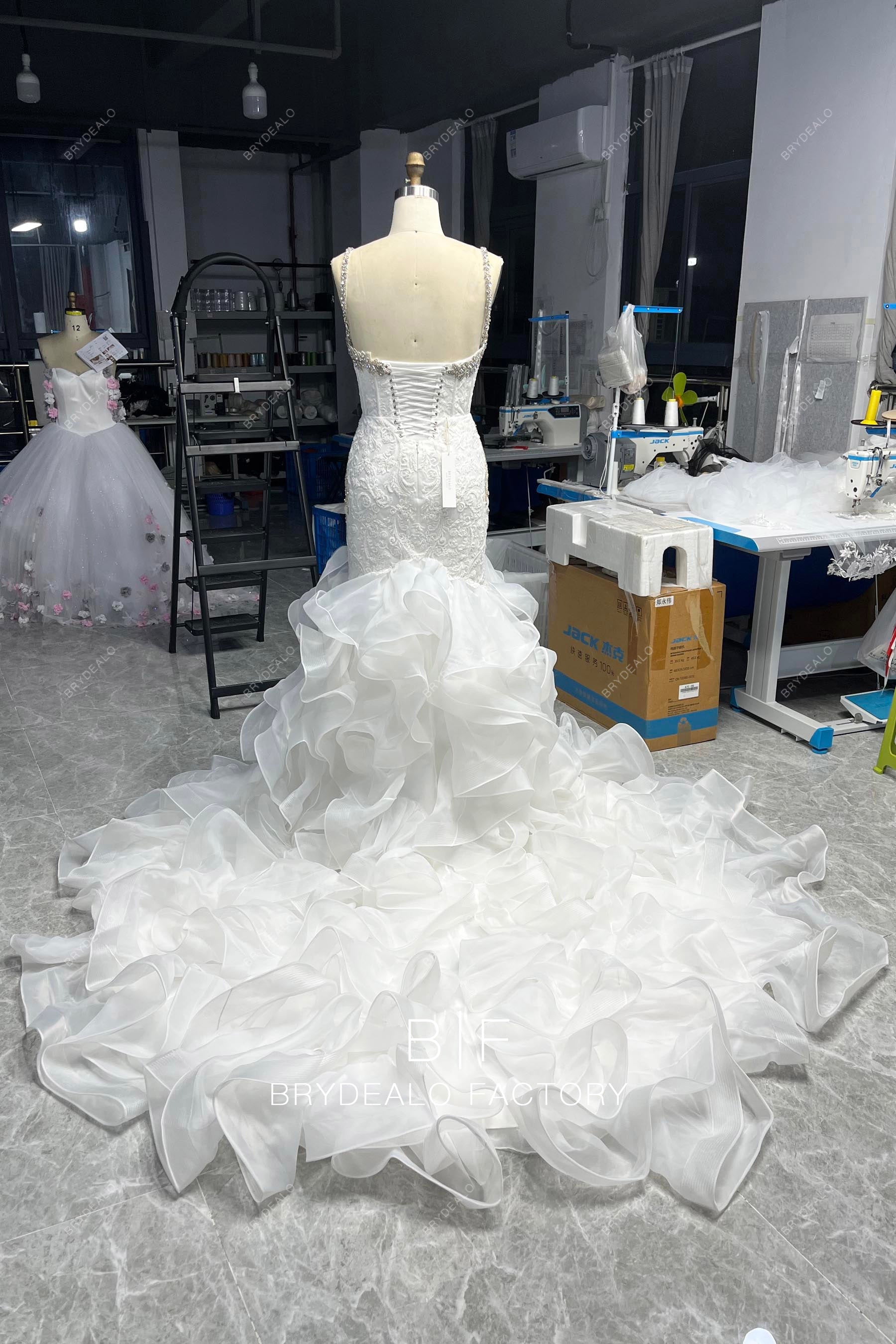 Designer Lace Sleeveless Corset Sparkly Trumpet Wedding Gown