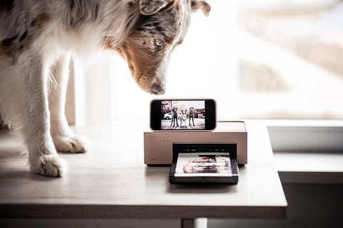 Liene Amber 4x6 Photo Printer