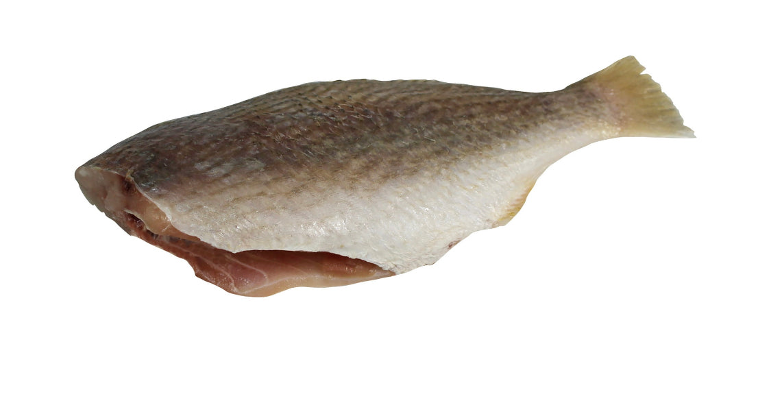 Frozen Croaker (Cassava) Fish