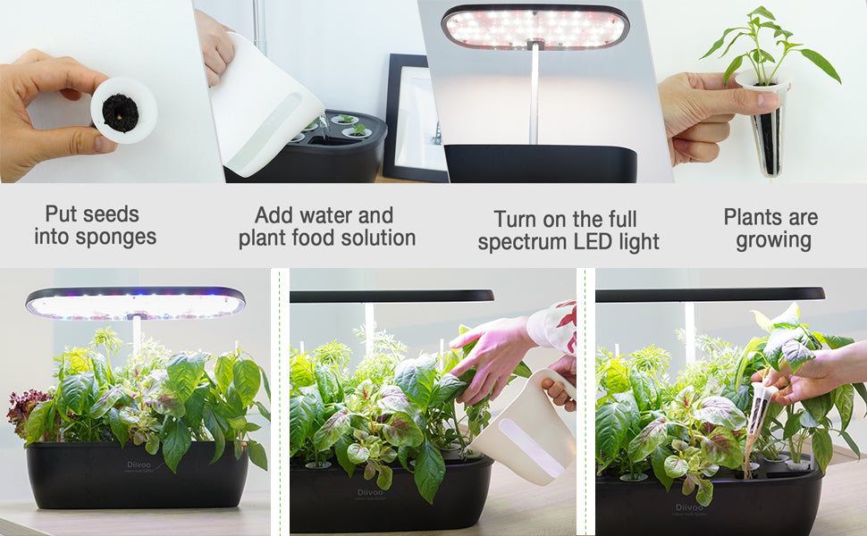 Hydroponics Grow System, Diivoo Indoor Herb Garden Starter Kit 12 Pods
