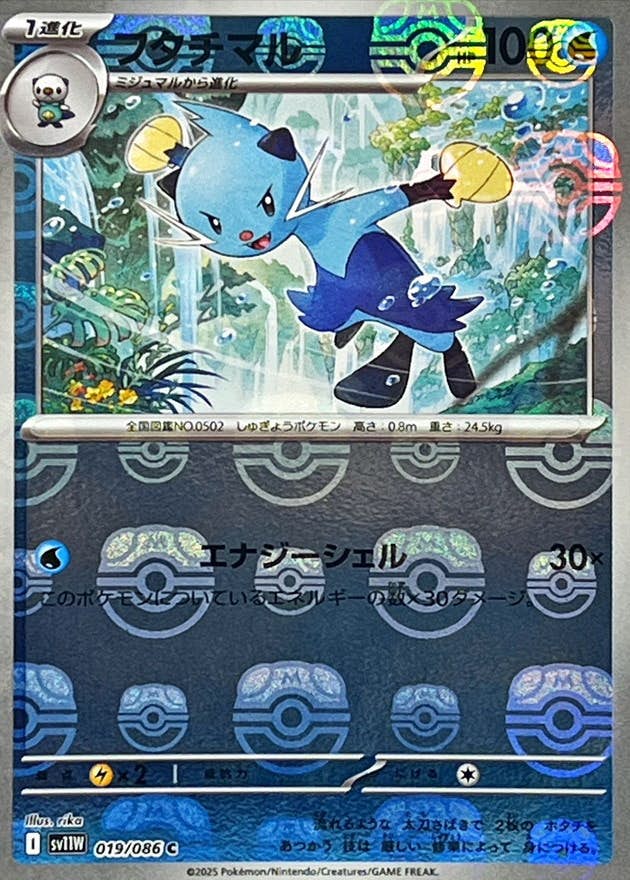 【状態A】フタチマル(マスターボールミラー) C (019/086) [SV11W]の通販・買取（ポケモンカード）