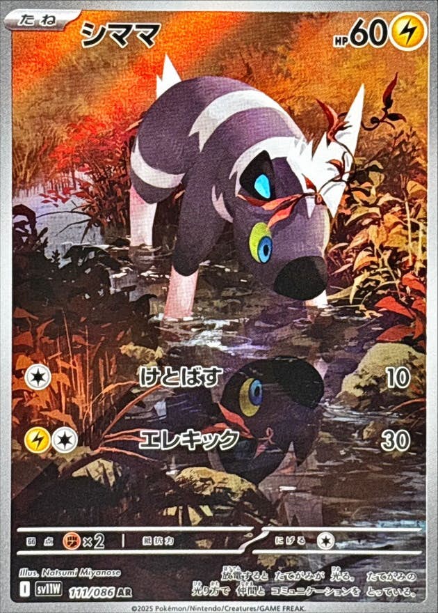 【状態A-】シママ AR (111/086) [SV11W]の通販・買取（ポケモンカード）