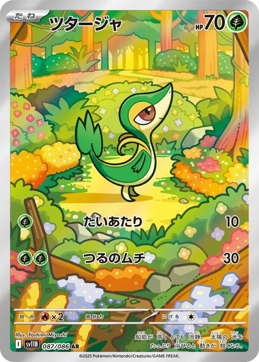 【状態A】ツタージャ AR (087/086) [SV11B]の通販・買取（ポケモンカード）