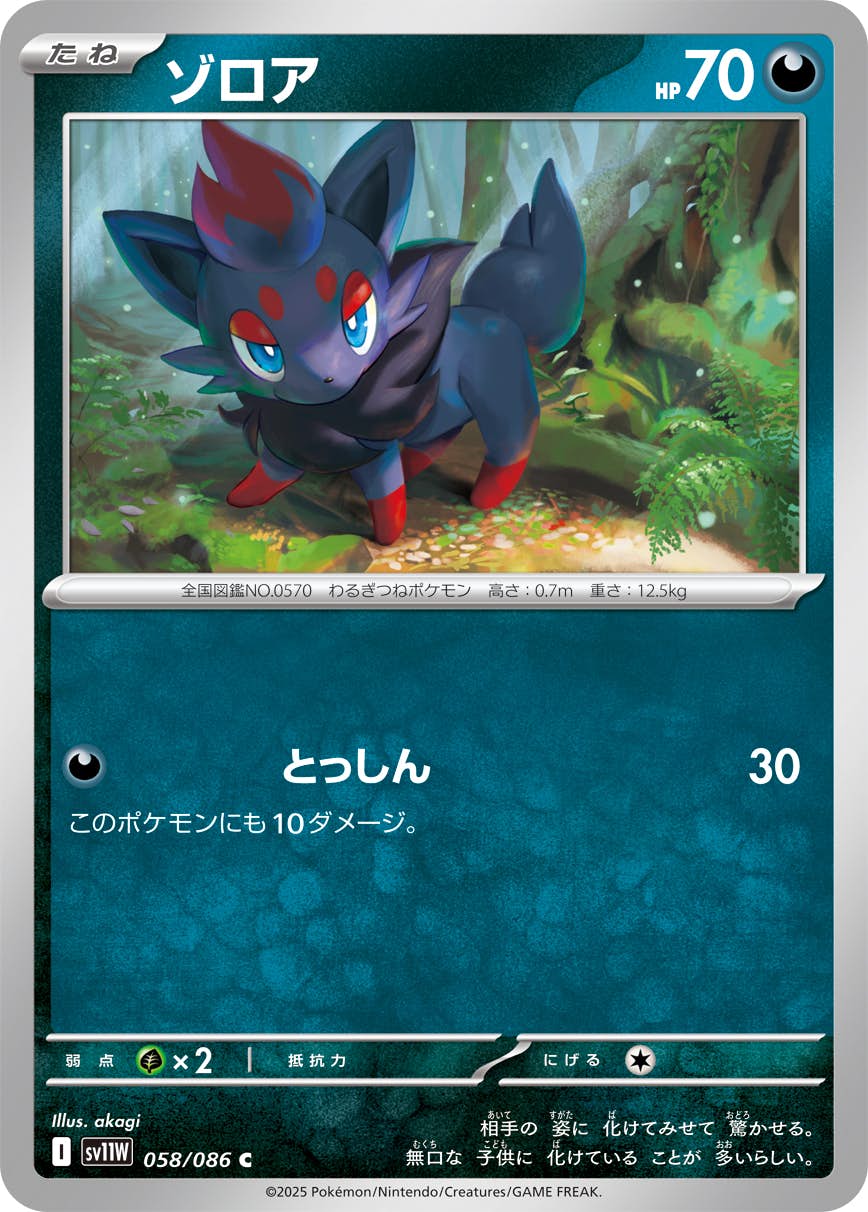 【状態A】ゾロア C (058/086) [SV11W]の通販・買取（ポケモンカード）