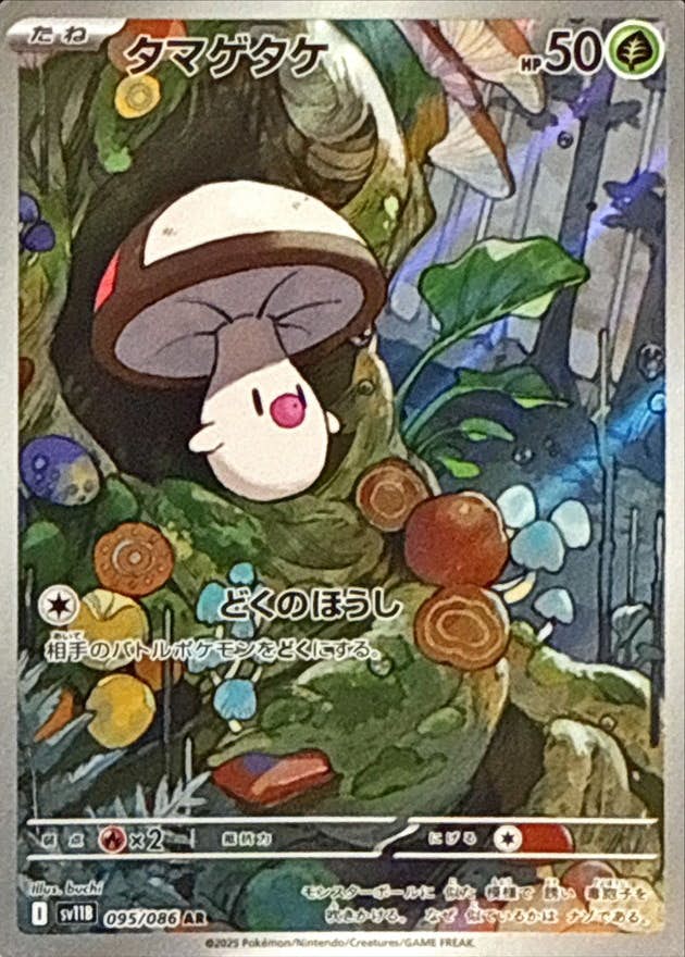 【状態A】タマゲタケ AR (095/086) [SV11B]の通販・買取（ポケモンカード）