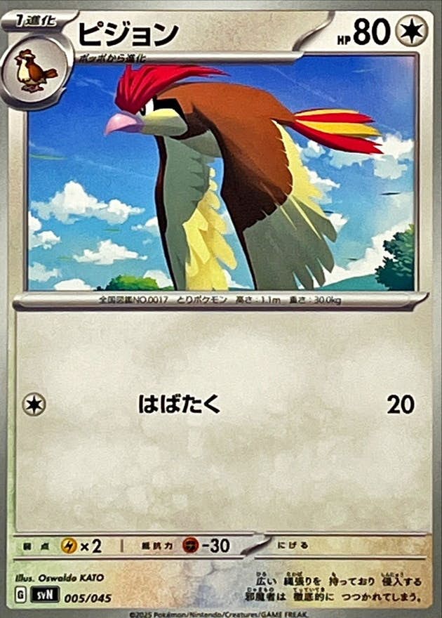 【状態A】ピジョン(005/045) [SVN]の通販・買取（ポケモンカード）