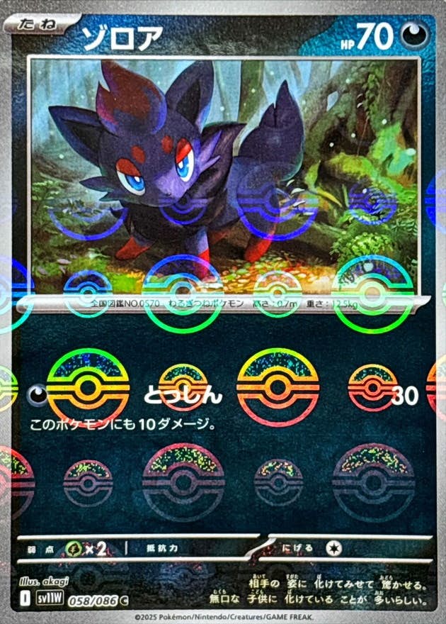 【状態A】ゾロア(モンスターボールミラー) C (058/086) [SV11W]の通販・買取（ポケモンカード）