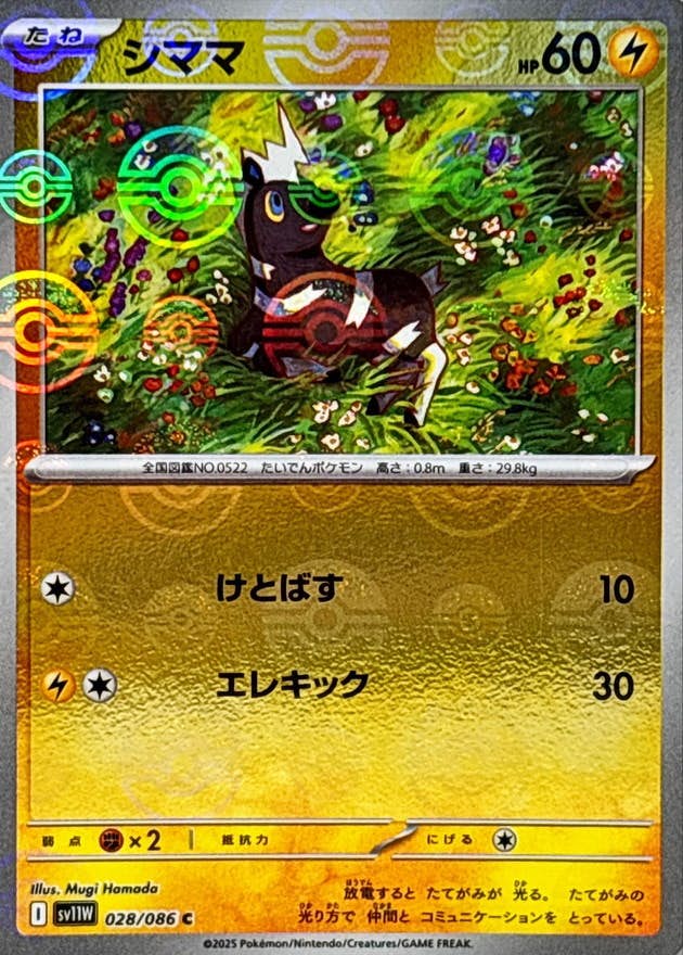 【状態A】シママ(モンスターボールミラー) C (028/086) [SV11W]の通販・買取（ポケモンカード）